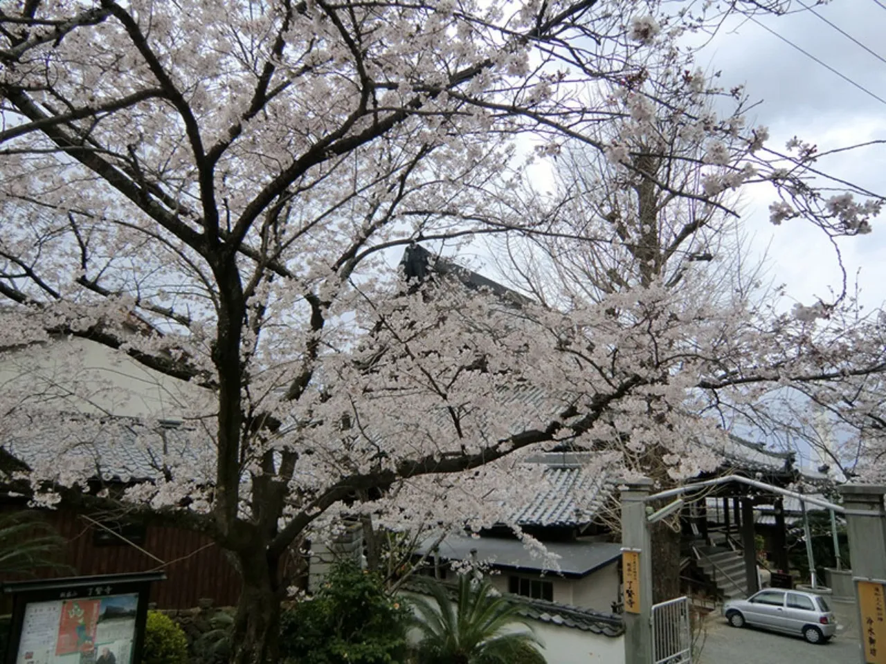 了賢寺の四季(春)