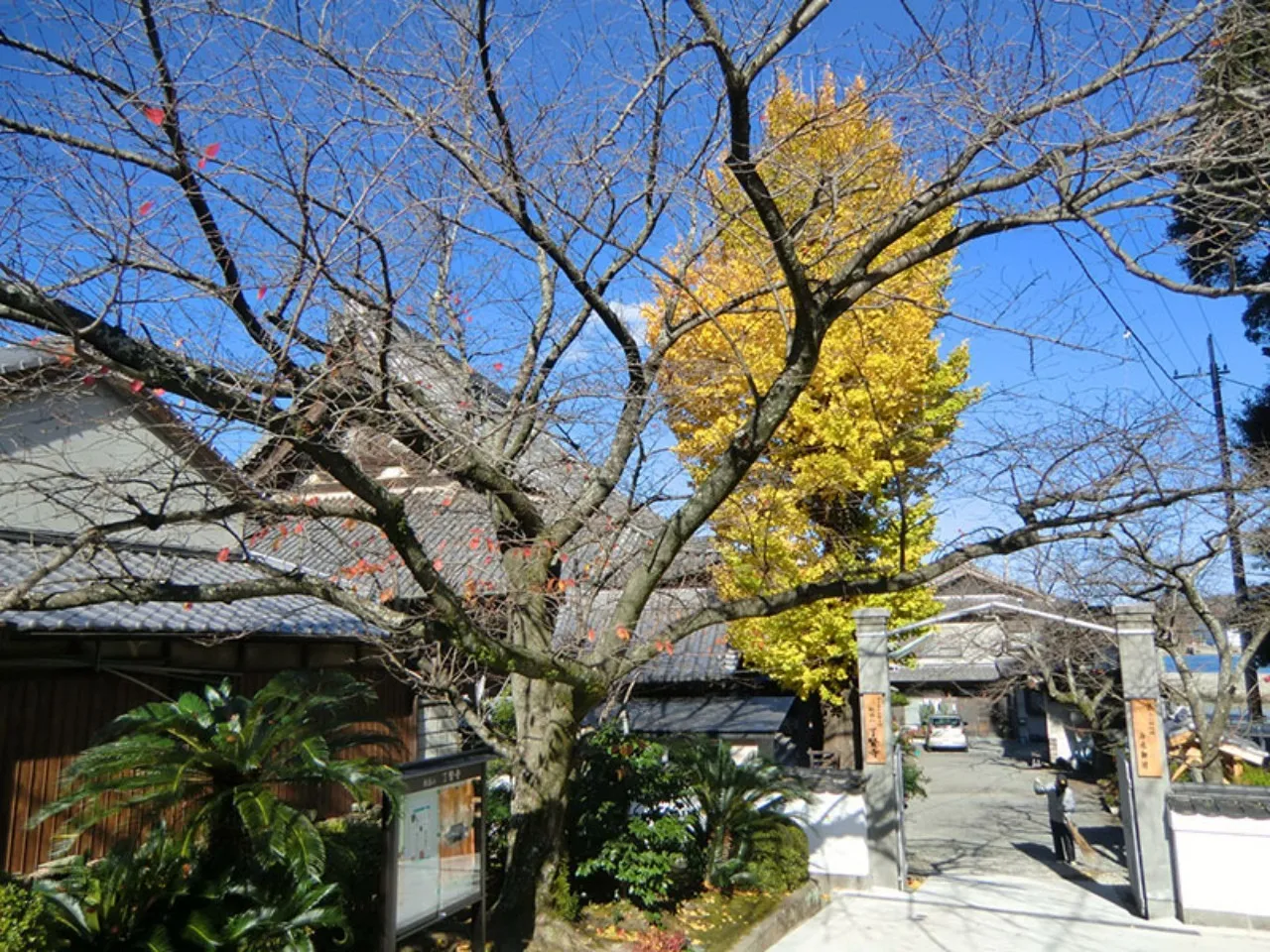 了賢寺の四季(秋)