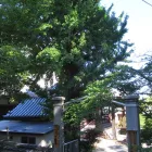 法要